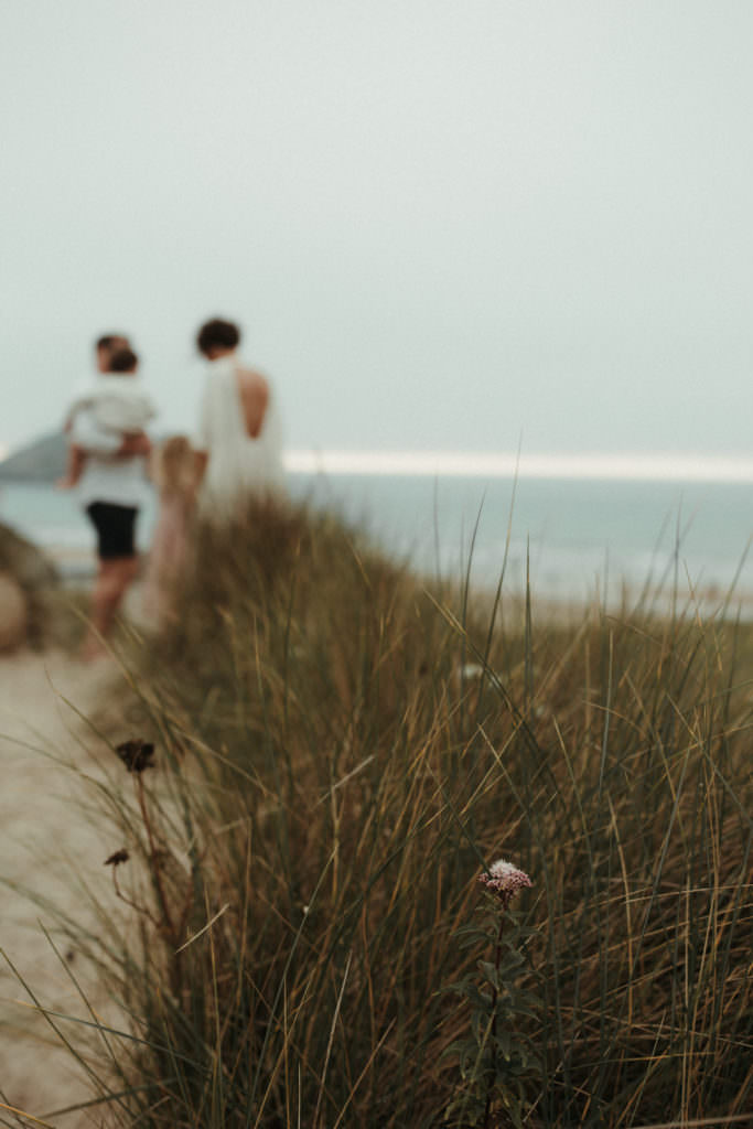wild grasses and blurred family lifestyle family photography session