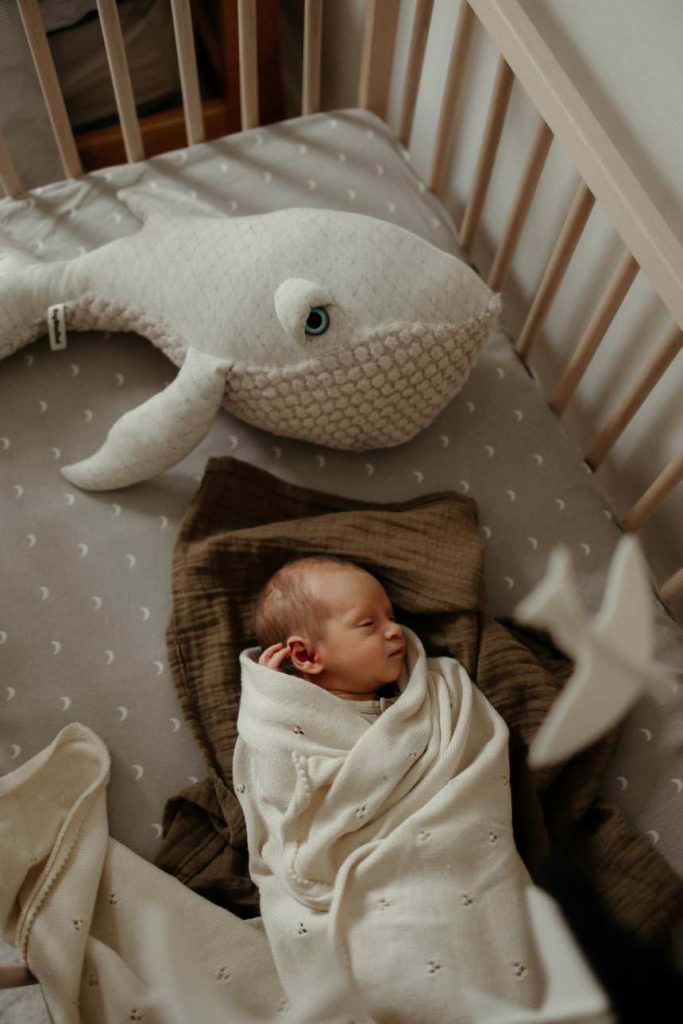 A newborn baby wrapped up in his cot surrounded by his toys.
