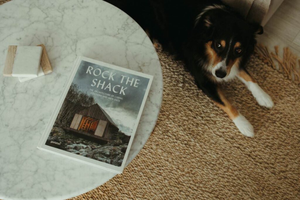 Image of a coffee table with Rock the Shack book on top, with dog in the background.